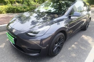 特斯拉 Model Y 2024款 后轮驱动版
