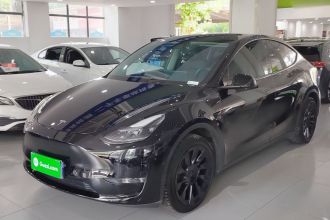 特斯拉 Model Y 2021款 标准续航后驱版