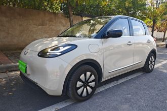 五菱汽车 五菱缤果 2025款 333km 悦享款