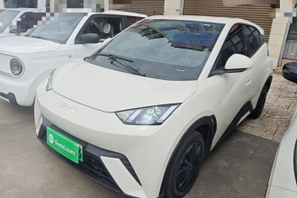 比亚迪 海鸥 2025款 305km 活力版