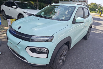 东风纳米 纳米BOX 2022款 追风版 331KM 进阶型
