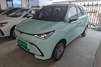 凯翼拾月 2023款 301km 追风版