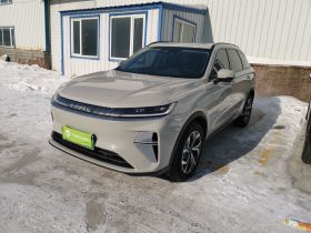 哈弗枭龙MAX 2025款 Hi4 110 Pro