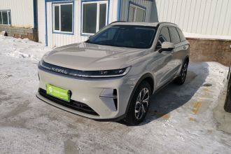 哈弗枭龙MAX 2025款 Hi4 110 Pro