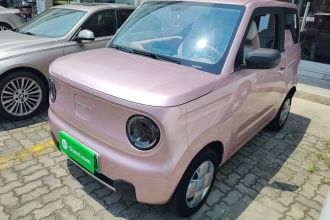 吉利银河 2023款 熊猫mini 200km 耐力熊