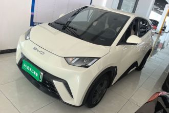比亚迪 海鸥 2023款 活力版