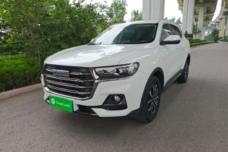 哈弗H6 2021款 国潮版 1.5T 自动都市版