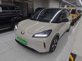 五菱汽车 五菱缤果PLUS 2024款 401km 五座版