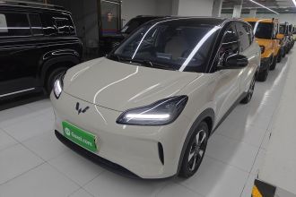 五菱汽车 五菱缤果PLUS 2024款 401km 五座版