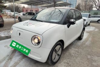 欧拉黑猫 2019款 310km 灵趣版