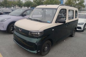 五菱汽车 五菱之光新能源 2025款 305km 进取型