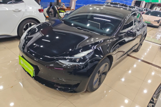 特斯拉 Model 3 2021款 标准续航后驱升级版 3D6