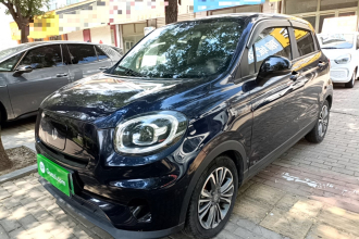 零跑汽车 零跑T03 2021款 400轻享版 磷酸铁锂