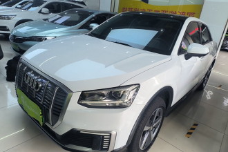 奥迪Q2L e-tron 2019款 Q2L e-tron 纯电智享型