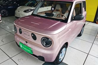 吉利银河 2024款 熊猫mini 200km 龙腾PRO版
