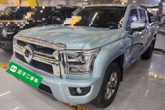 长城 金刚炮 2023款 2.0T自动柴油四驱精英型平箱GW4D20M