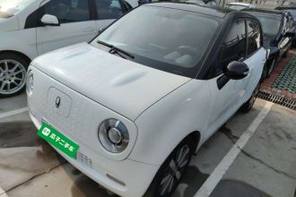 欧拉黑猫 2021款 351km 标准型