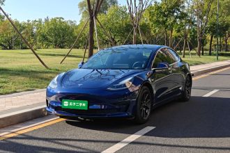 特斯拉 Model 3 2020款 标准续航后驱升级版