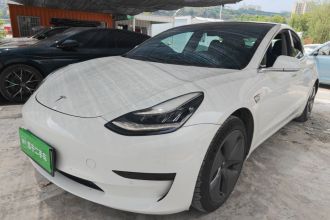 特斯拉 Model 3 2020款 标准续航后驱升级版