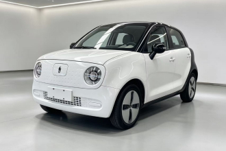 欧拉黑猫 2021款 301km 基础型