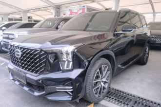 广汽传祺 传祺GS8 2022款 领航系列 2.0TGDI 两驱豪华智联版（七座）