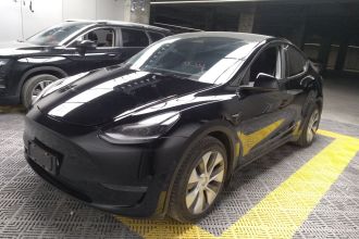 特斯拉 Model Y 2021款 标准续航后驱版