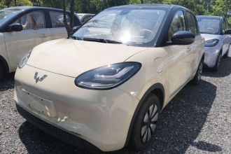 五菱汽车 五菱缤果 2025款 333km 悦享款