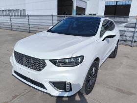 魏牌 VV5 2021款 1.5T 两驱颜先锋