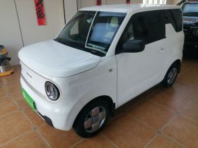 吉利银河 2023款 熊猫mini 200km 耐力熊