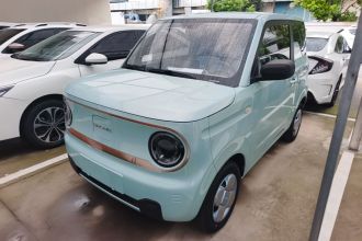 吉利银河 2023款 熊猫mini 200km 耐力熊