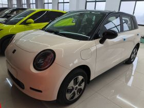 江淮钇为 钇为3 2025款 330km 自由版