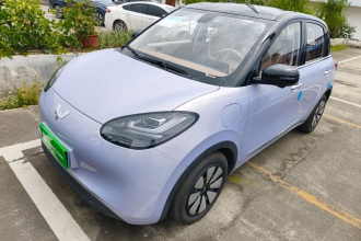 五菱汽车 五菱缤果 2025款 410km 灵犀尊享款