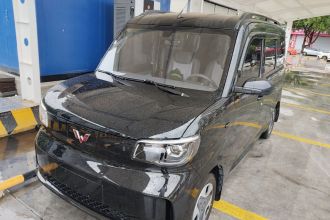 五菱汽车 五菱之光新能源 2025款 305km 进取型