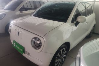 欧拉黑猫 2021款 301km 基础型