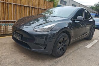 特斯拉 Model Y 2024款 后轮驱动版