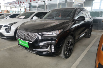魏牌 VV6 2021款 2.0T 两驱智护+