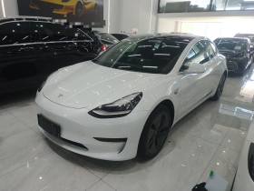 特斯拉 Model 3 2020款 标准续航后驱升级版