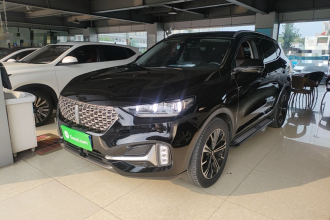 魏牌 VV6 2021款 2.0T 两驱智享+