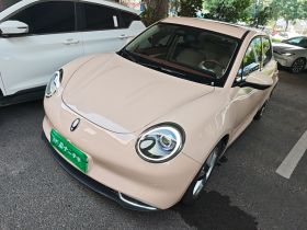 欧拉好猫 2021款 400km标准续航 雅典娜版 磷酸铁锂