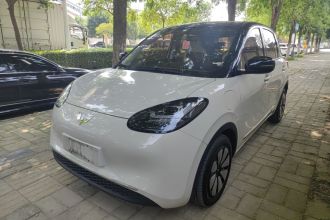 五菱汽车 五菱缤果 2024款 333km 灵犀互联款