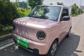 吉利银河 2024款 熊猫mini 200km 耐力熊