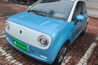 欧拉黑猫 2021款 301km 基础型