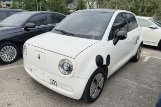 欧拉黑猫 2021款 301km 萌宠版