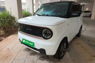 吉利银河 2023款 熊猫mini 200km 灵动熊