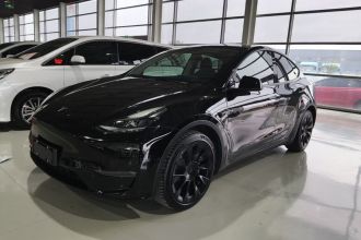 特斯拉 Model Y 2021款 标准续航后驱版