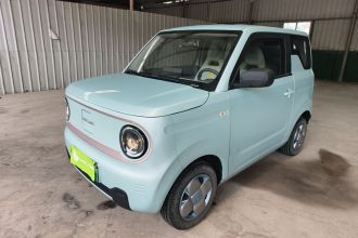 吉利银河 2023款 熊猫mini 120km 萌萌熊