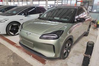 五菱汽车 五菱缤果PLUS 2024款 510km 旗舰版 四座版