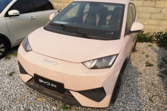 比亚迪 海鸥 2025款 智驾版 305km 活力版