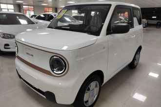 吉利银河 2024款 熊猫mini 200km 耐力熊