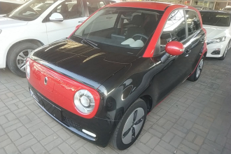 欧拉黑猫 2021款 301km 基础型